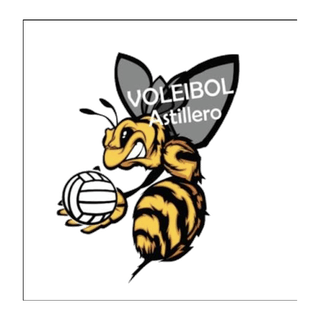 A.D. Voleibol Astillero