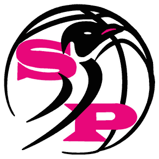 S. P. Basket